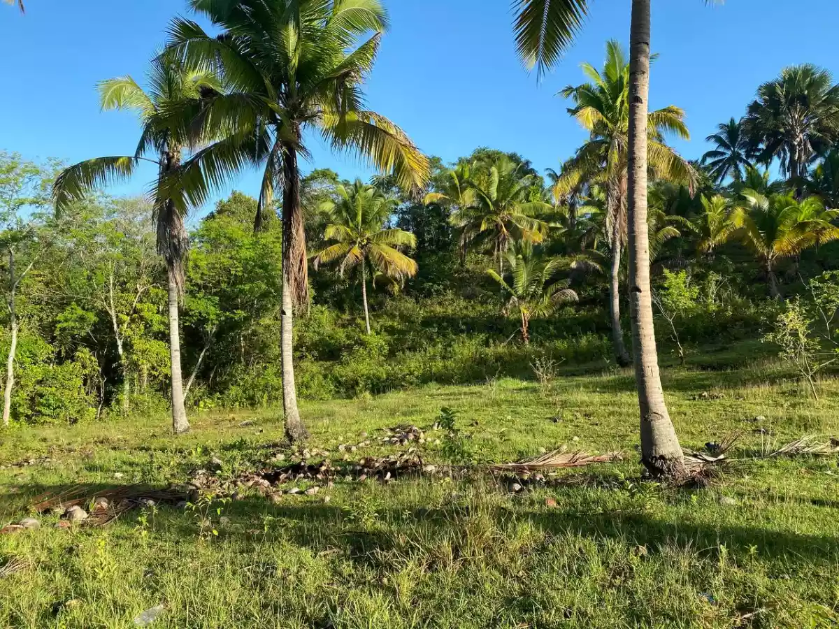 Open photo 25 of 27 — Over Looking LOT FOR SALE along Brgy Road Bayanga, Cagayan de Oro City