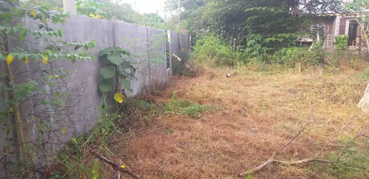 Lot for Sale : 1000 sqm with fence and gate in Morales Subdivision City Heights, GSC — Residential Lot in General Santos City, South Cotabato, Philippines — Photo 7