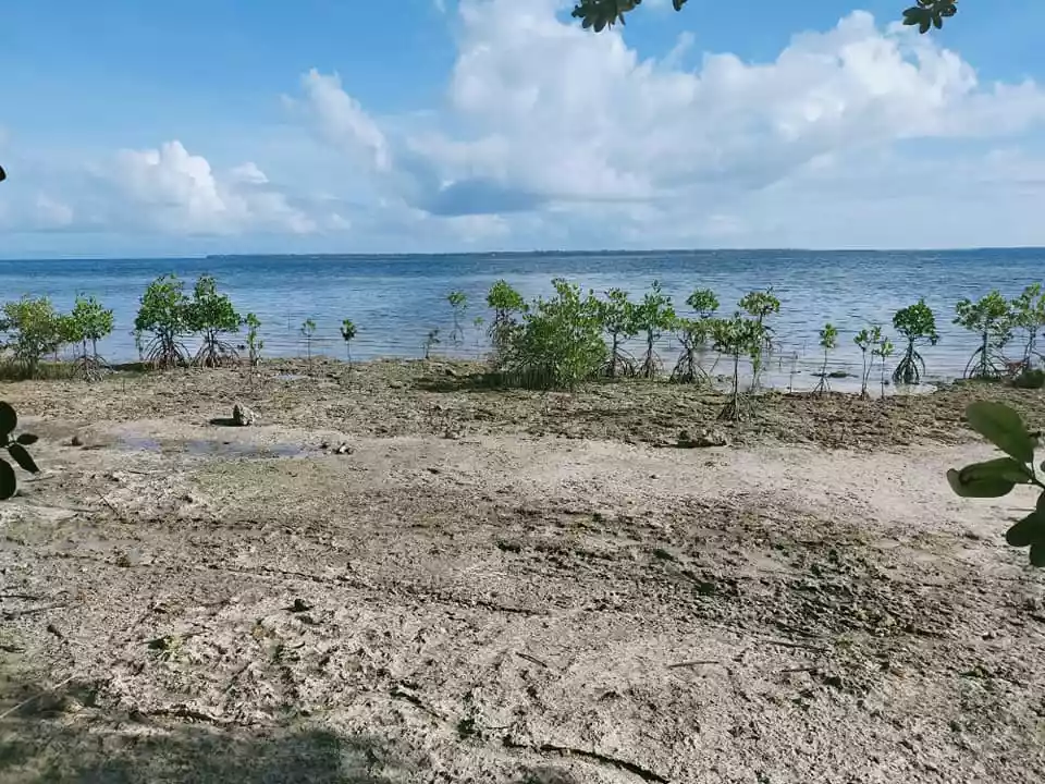 Beachfront 1,223sqm title lot for sale in Sandingan Island Loon Bohol 3k per sqm - photo 6