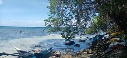 BEACH LOT FOR SALE - photo 4