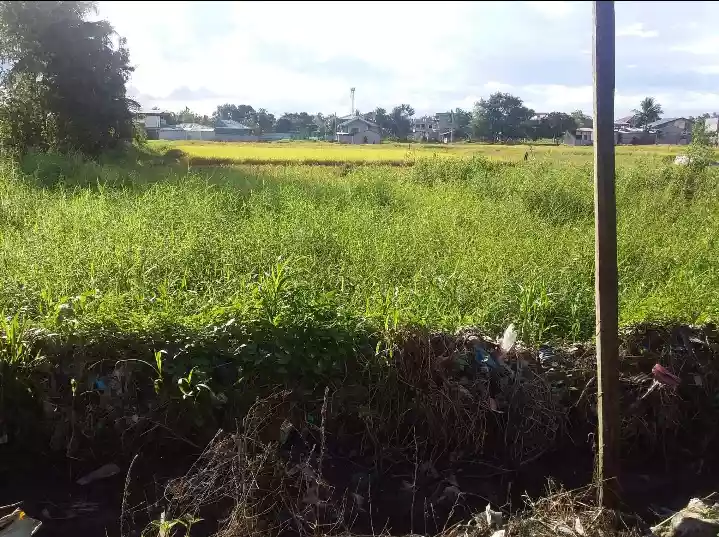 493 sqm lot in Balayo Subd. - photo 5