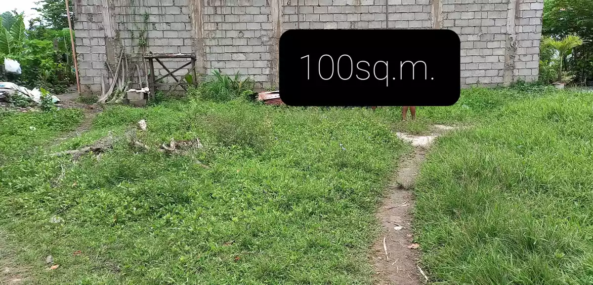 Sacrifice Lot for Sale in Sibulan - photo 3