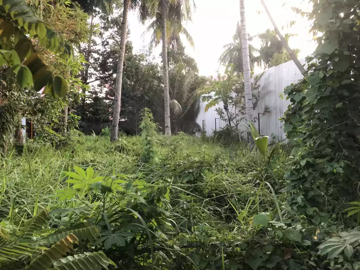 LOT FOR SALE IN MARGARITA VILLAGE ROAD BAJADA — Residential Lot in Davao City, Davao del Sur, Philippines — Photo 2