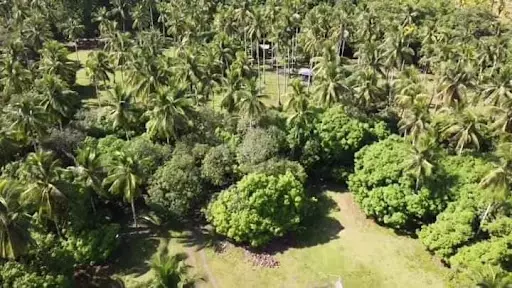 Lot For Sale at Samal