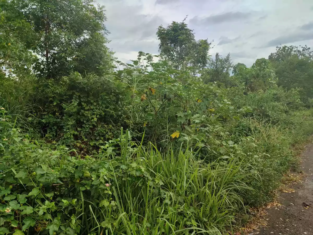 RESIDENTIAL LOT FOR SALE — Residential Lot in General Santos City, South Cotabato, Philippines — Photo 4
