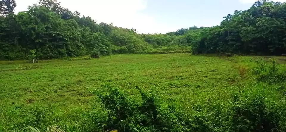 Affordable lot - photo 3