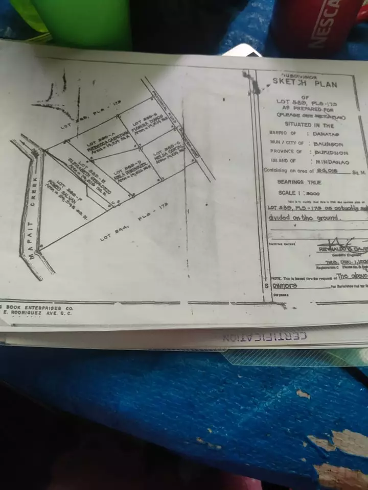Open photo 18 of 19 — 10 hectares farm/agricultural land