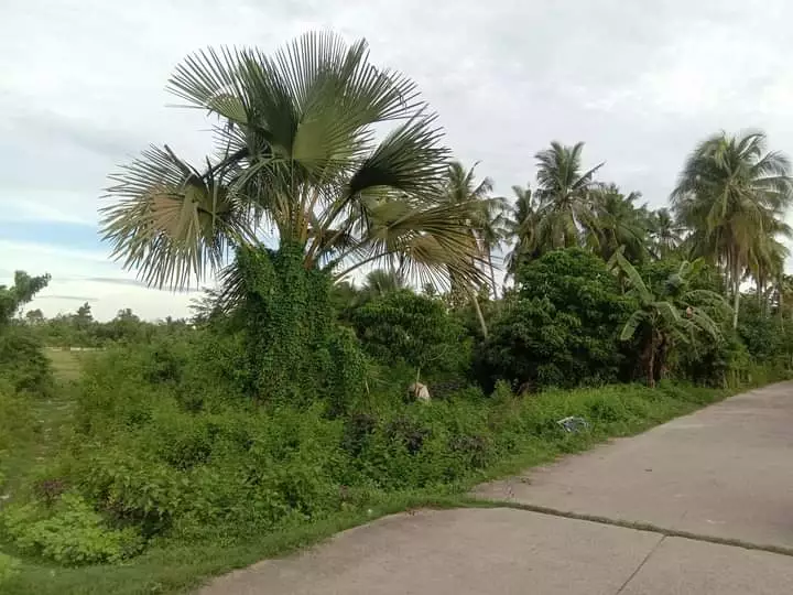 Open photo 11 of 11 — Lot for Sale