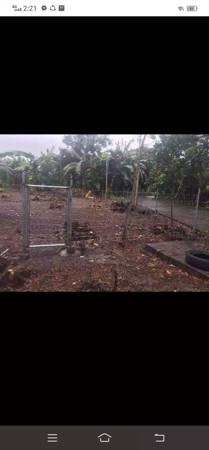 Lot only for SALe