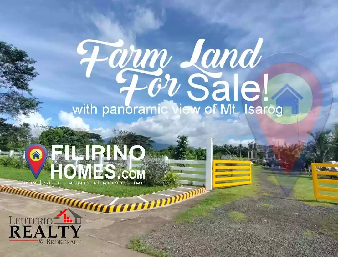 Farm Land for SALE! Nearby Naga City Upland (Clean Tittle) - photo 2