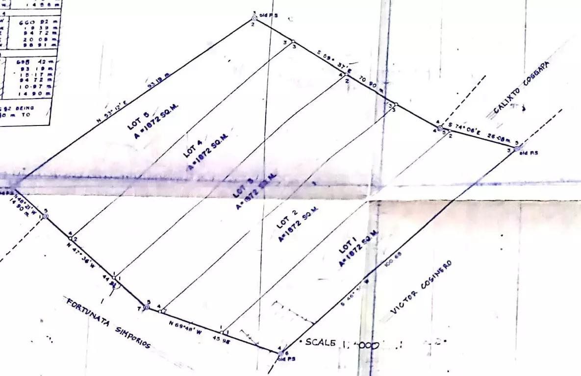 Titled Land — Agricultural Lot in Tubigon, Bohol, Philippines — Photo 6