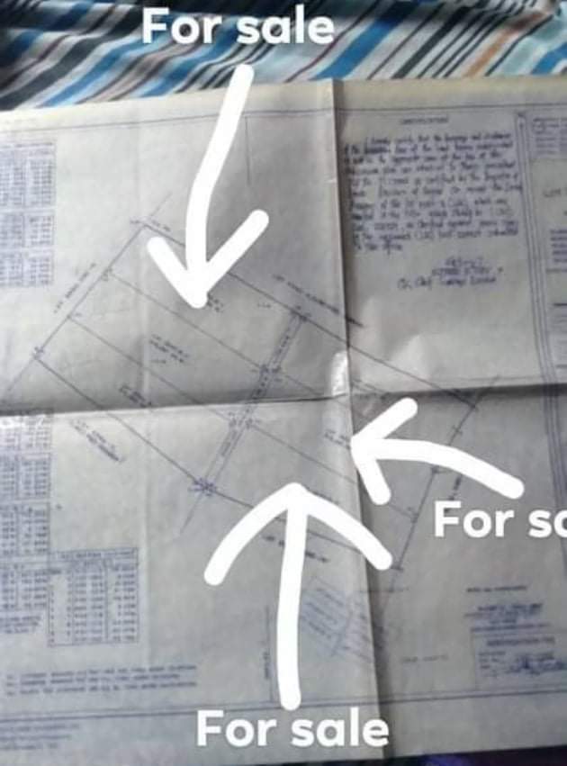 LOT FOR SALE IN PANCIL, LOOC, SIBULAN - photo 6