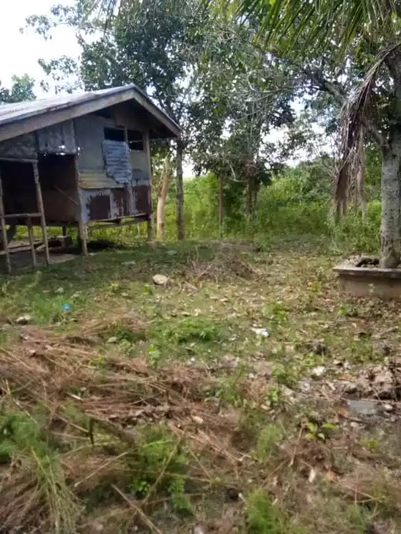Lot for Sale - photo 7