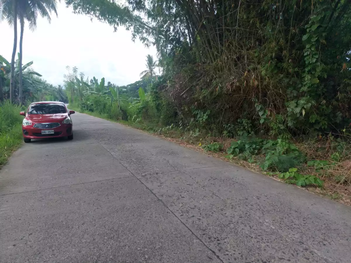 Lot for Sale in Sibulan - photo 3