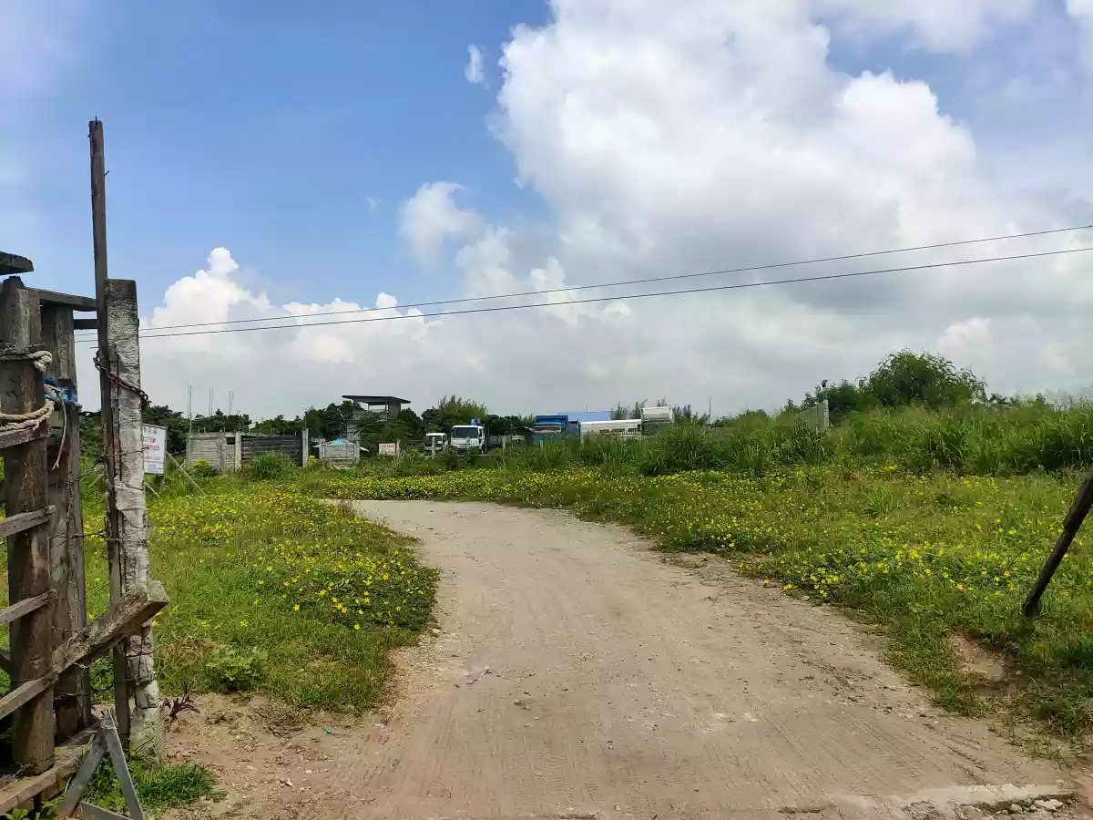 Lot for sale - photo 5
