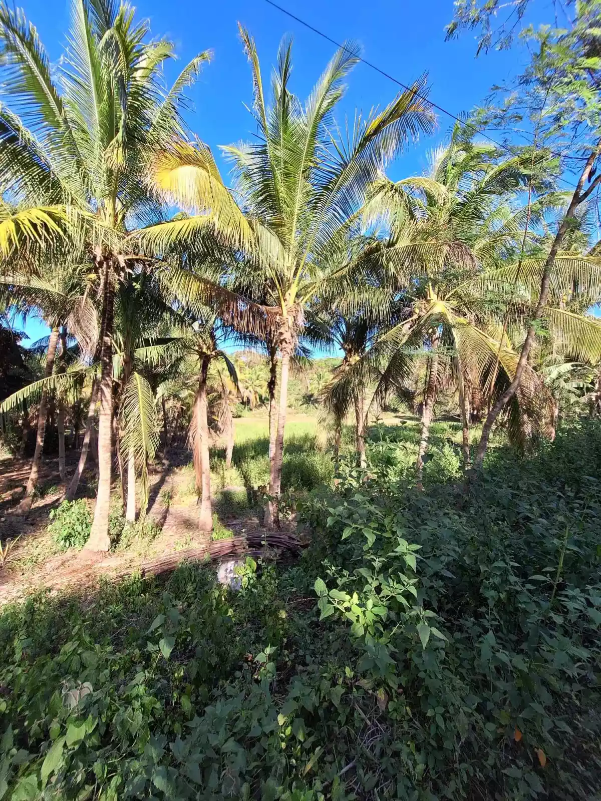 Open photo 15 of 15 — Lot Only in Cambanay