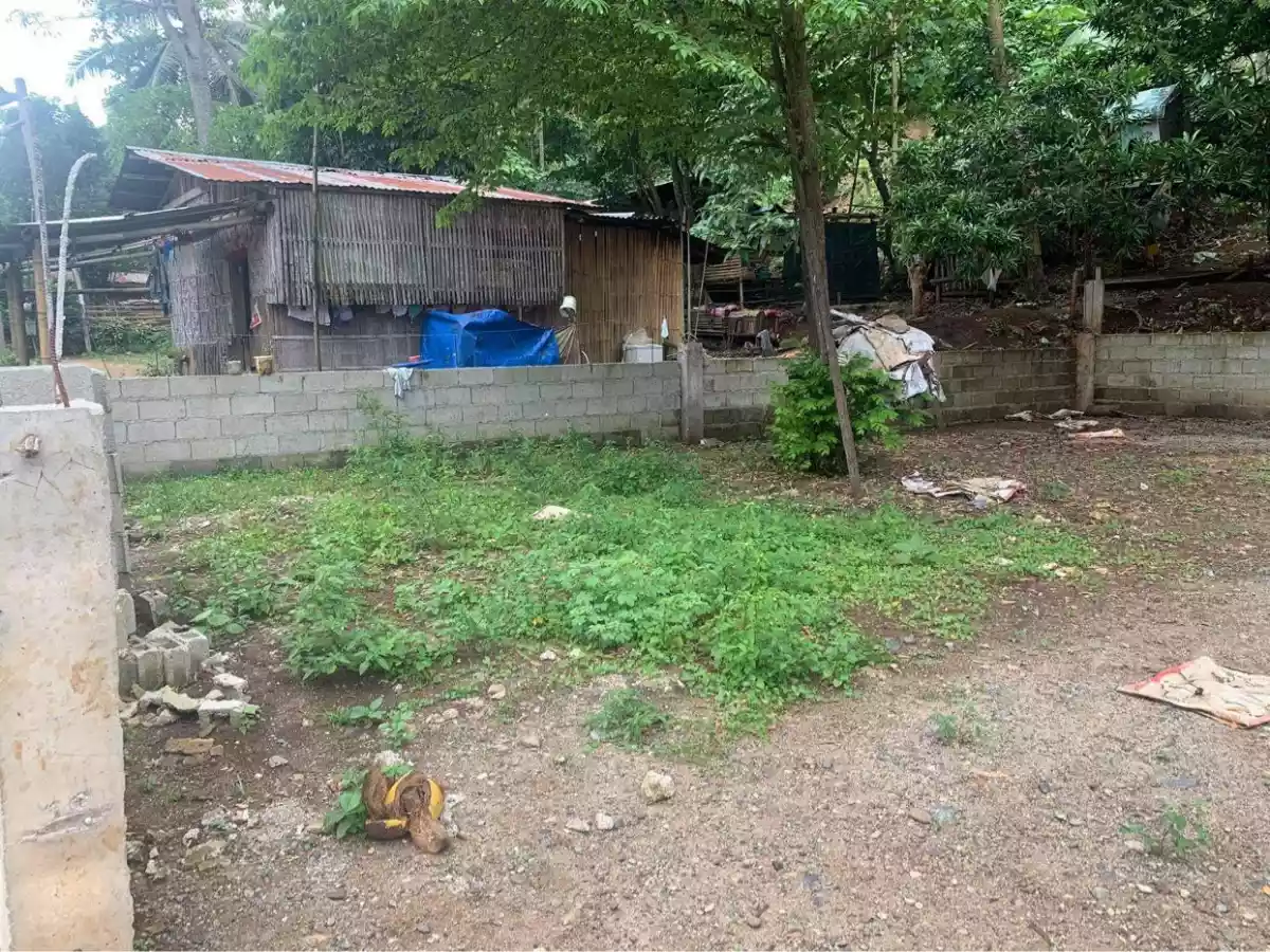 Lower Kiam-is Lumbia residential lot - photo 2