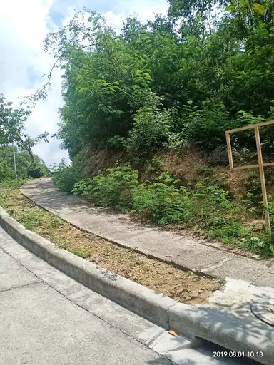 Lot for sale Maria Luisa Heritage — Commercial Lot in Mandaue City, Cebu, Philippines — Photo 7