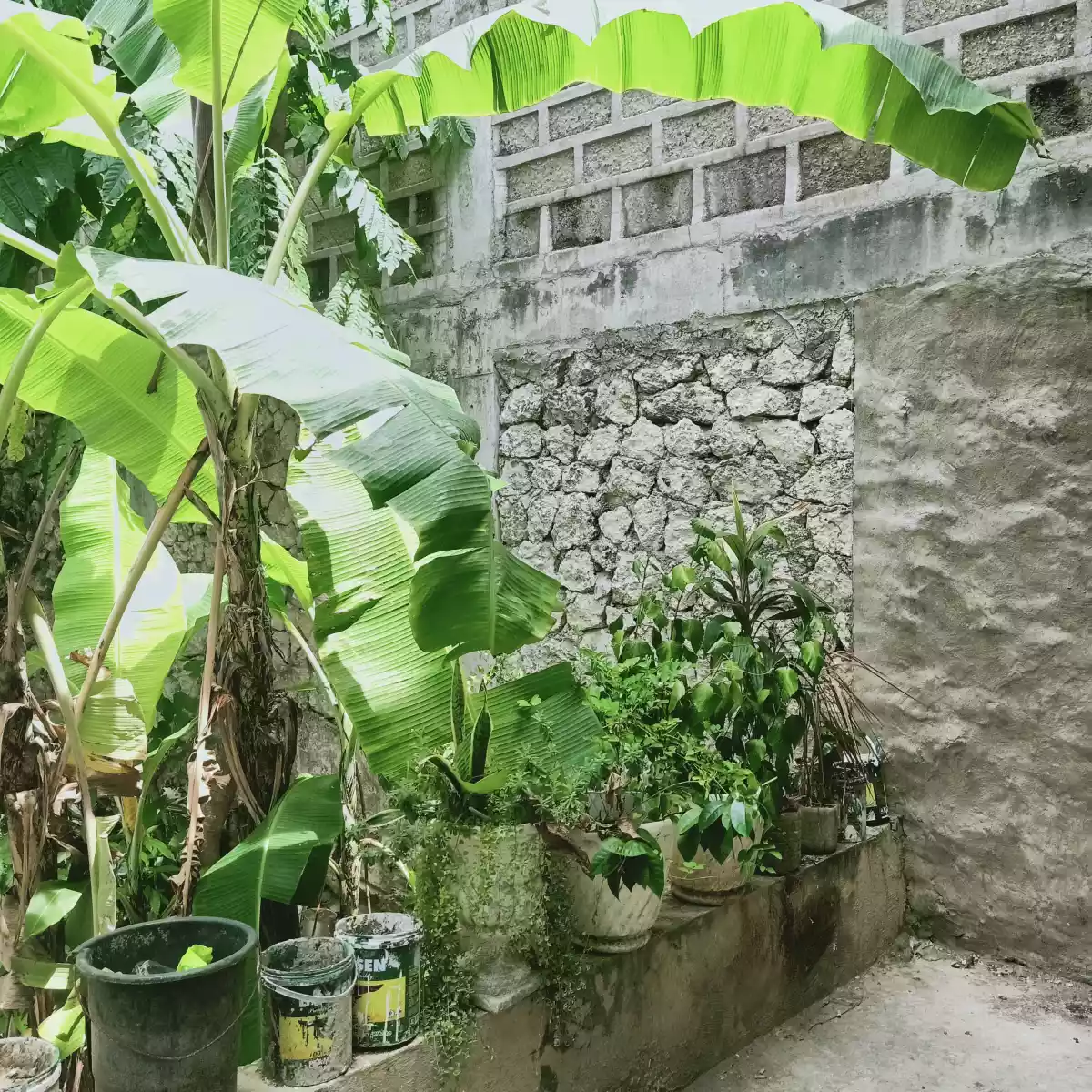 RESIDENTIAL LOT FOR SALE IN CANLINGO SABANG DANAO CITY - photo 3