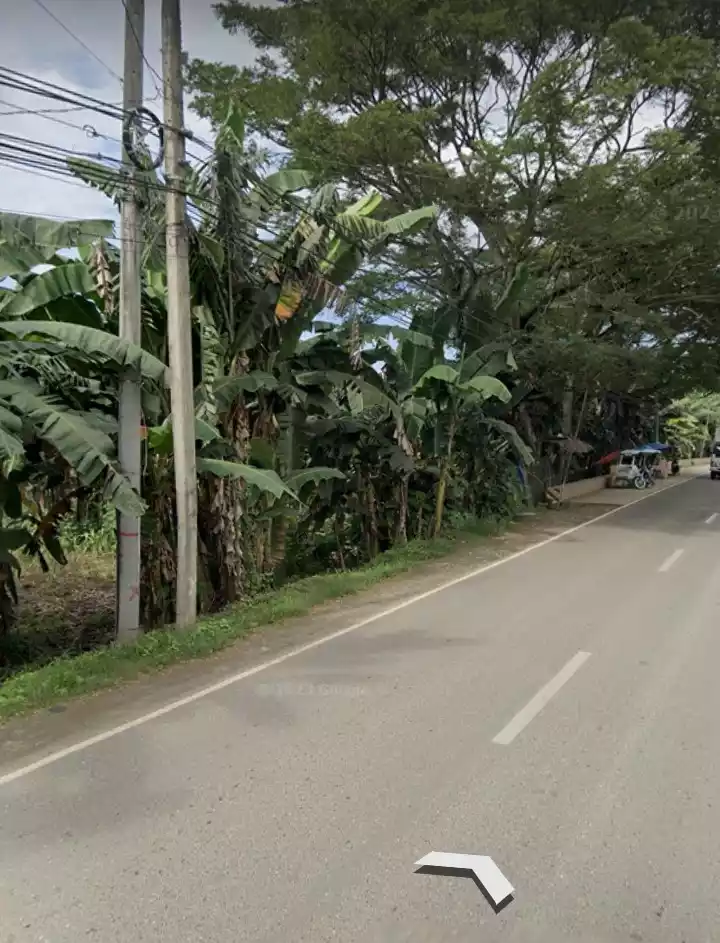 Balamban Raw Lot - photo 4