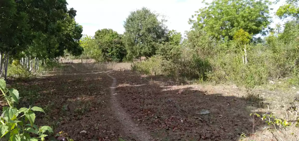 2.4 hectares Residential lot in San Fernando,Cebu - photo 3