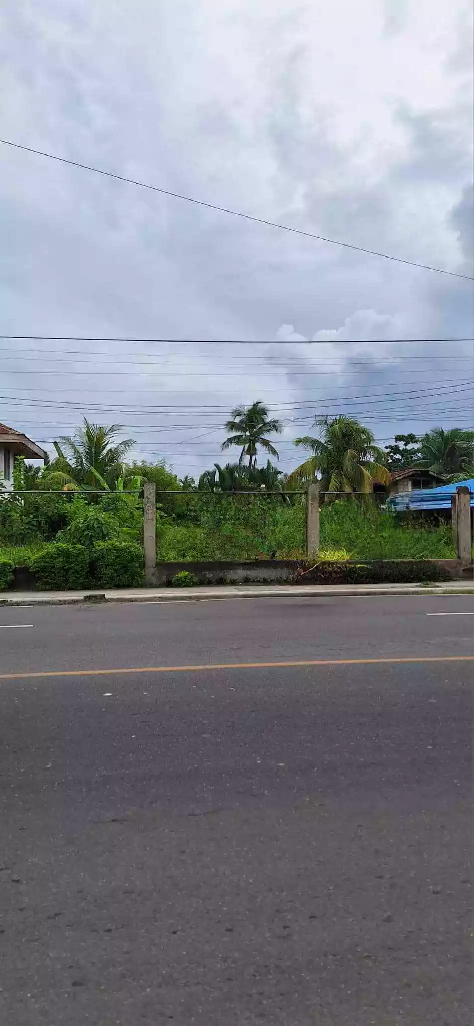 LOT FOR LEASE - photo 5