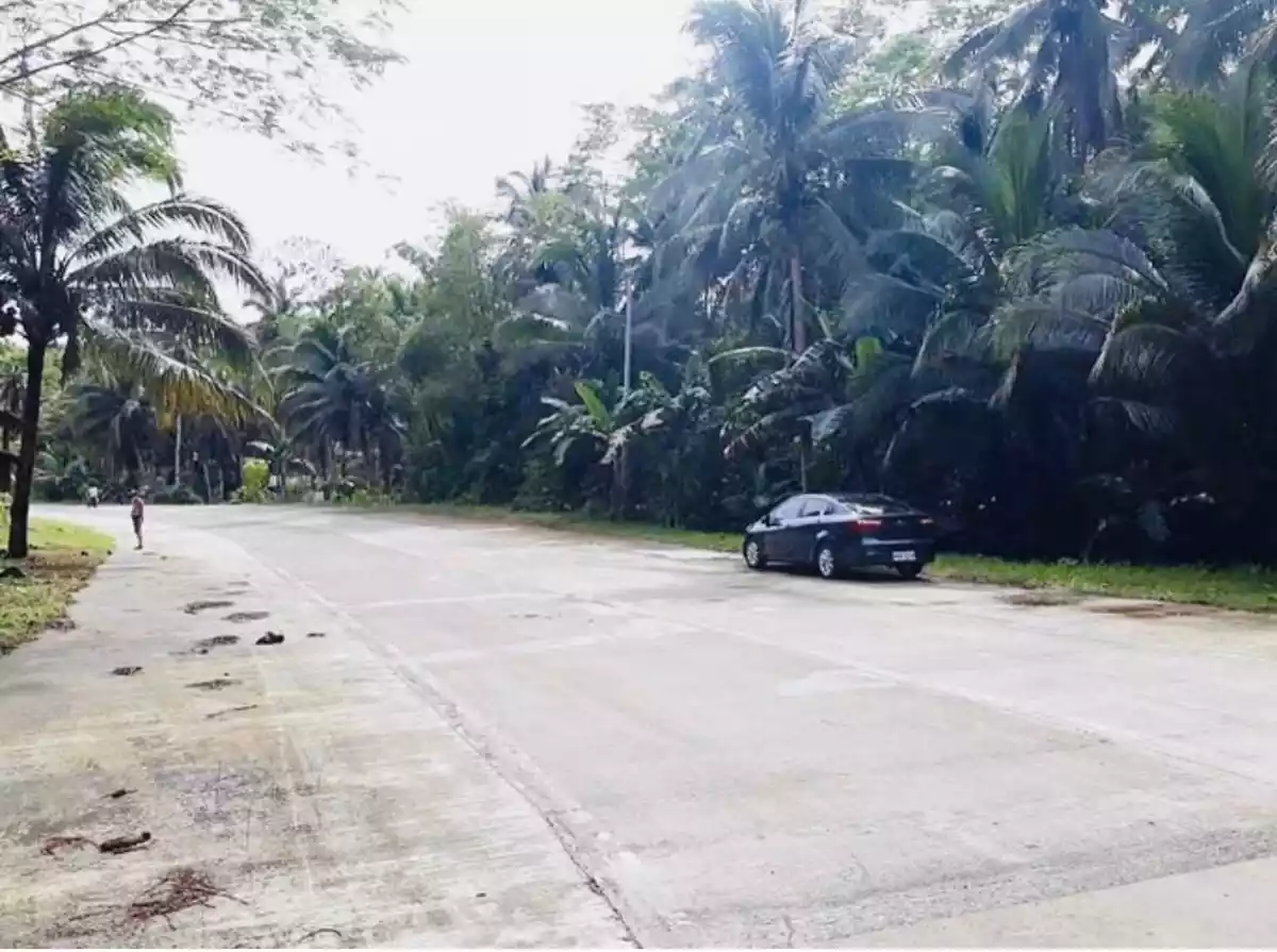 LOT FOR SALE @ SIARGAO ISLAND — Agricultural Lot in Philippines — Photo 2