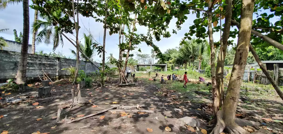 Purok 15 Road Property  - photo 6