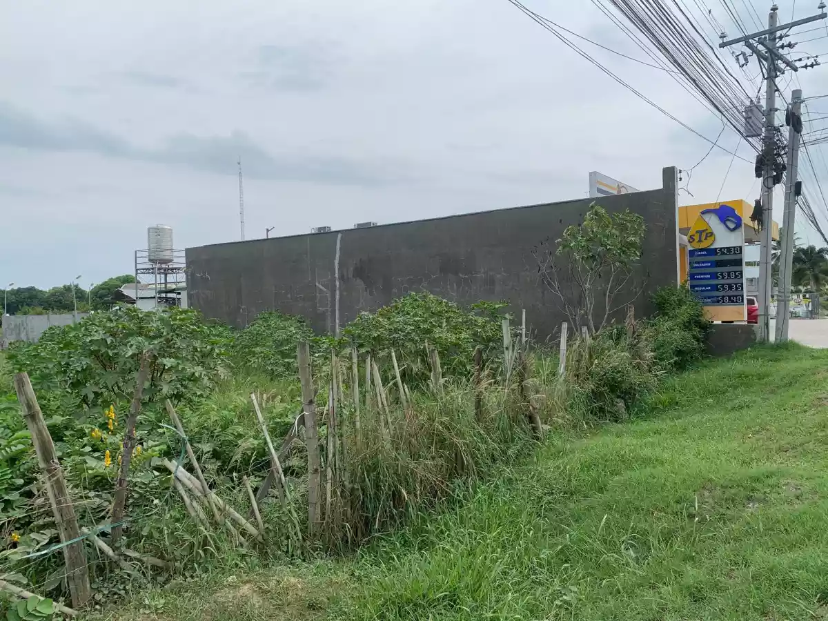 1 HECTARE COMMERCIAL LOT FOR SALE - photo 4