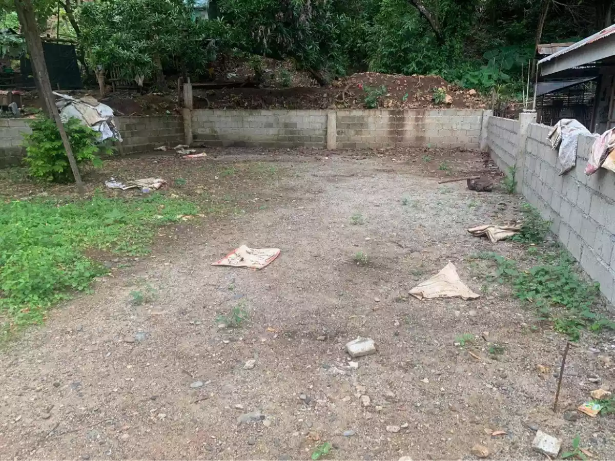 Lower Kiam-is Lumbia residential lot - photo 4