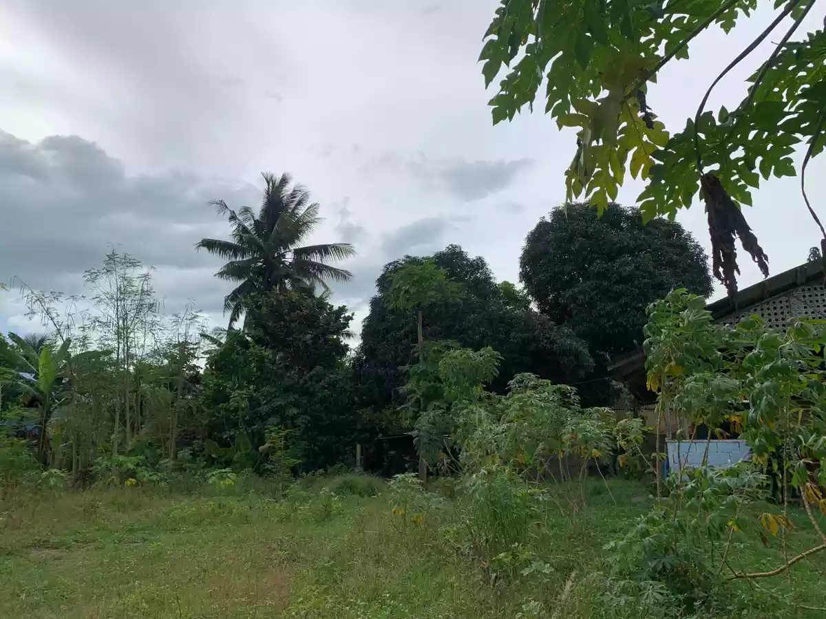 300 SQ.M RESIDENTIAL LOT — Residential Lot in Alabel, Sarangani, Philippines — Photo 3