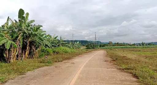 Lot For Sale - photo 6