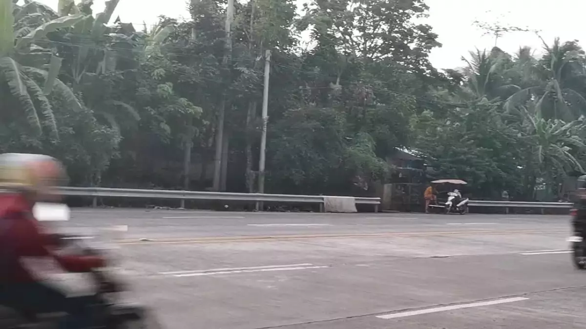 Commercial Lot along the National Highway of Sta. Cruz, Davao del Sur - photo 6