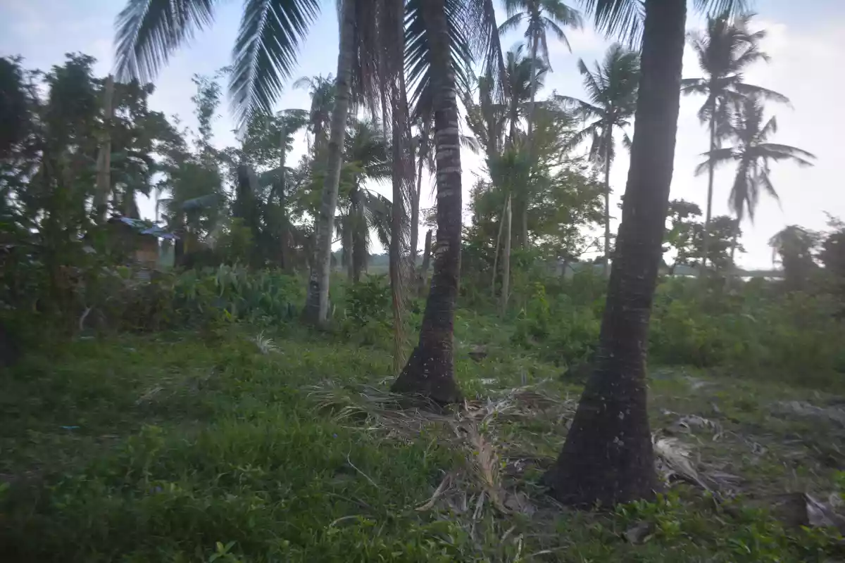 TITLED LOT FOR SALE IN CARCAR (LOT 1) - photo 5