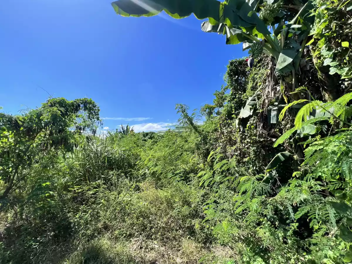 PRIME LOT IN CANJULAO, LAPU-LAPU CITY, CEBU — Residential Lot in Lapu-Lapu City, Cebu, Philippines — Photo 4