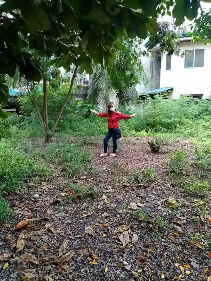 Subdivision Lot For Sale! - photo 3