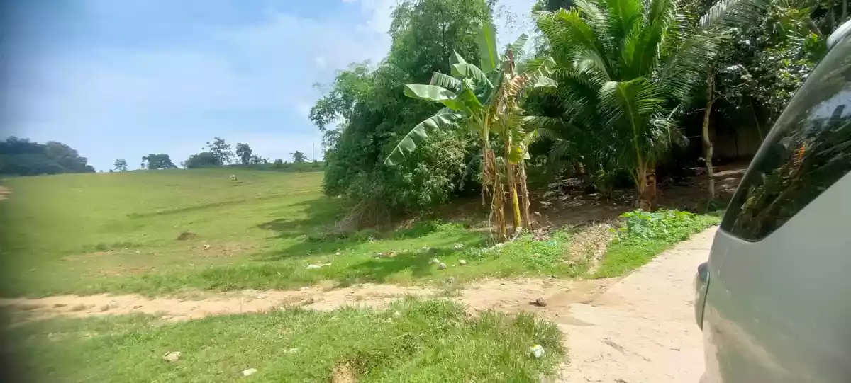 LOT ONLY with BEAUTIFUL VIEW — Agricultural Lot in Cebu, Philippines — Photo 2