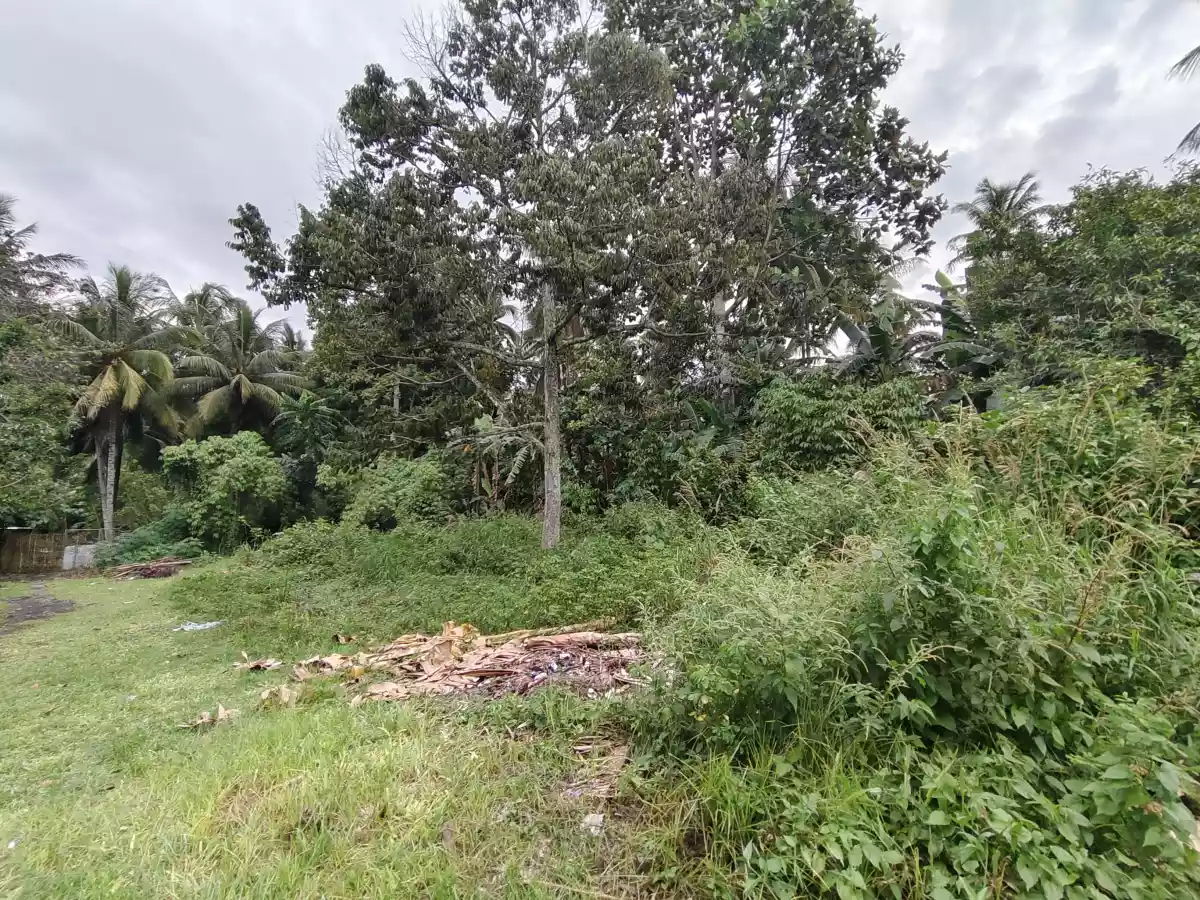 Residential Lot for Sale in Polomolok - photo 2