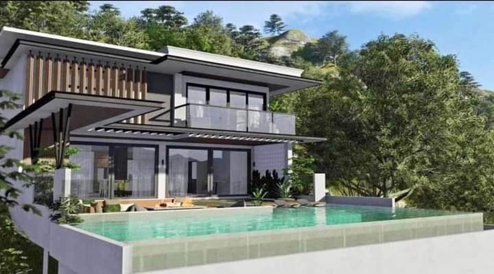 Newly renovated house and lot in marina louisa estate park - photo 7