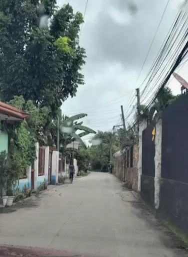 Cordova BIG LOT for SALE near CCLEX Cebu — Commercial Lot in Cordova, Cebu, Philippines — Photo 7