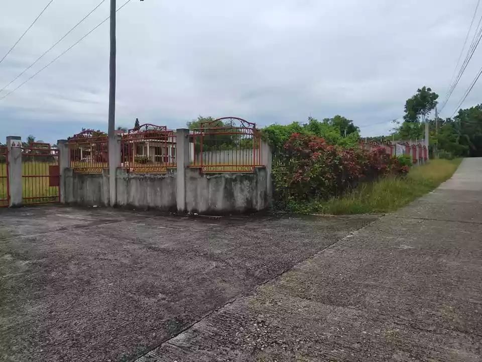 Sea view and mountain view 4 bedrooms 2 toilet and bath duplex house and lot in Poblacion Baclayon Bohol - photo 7