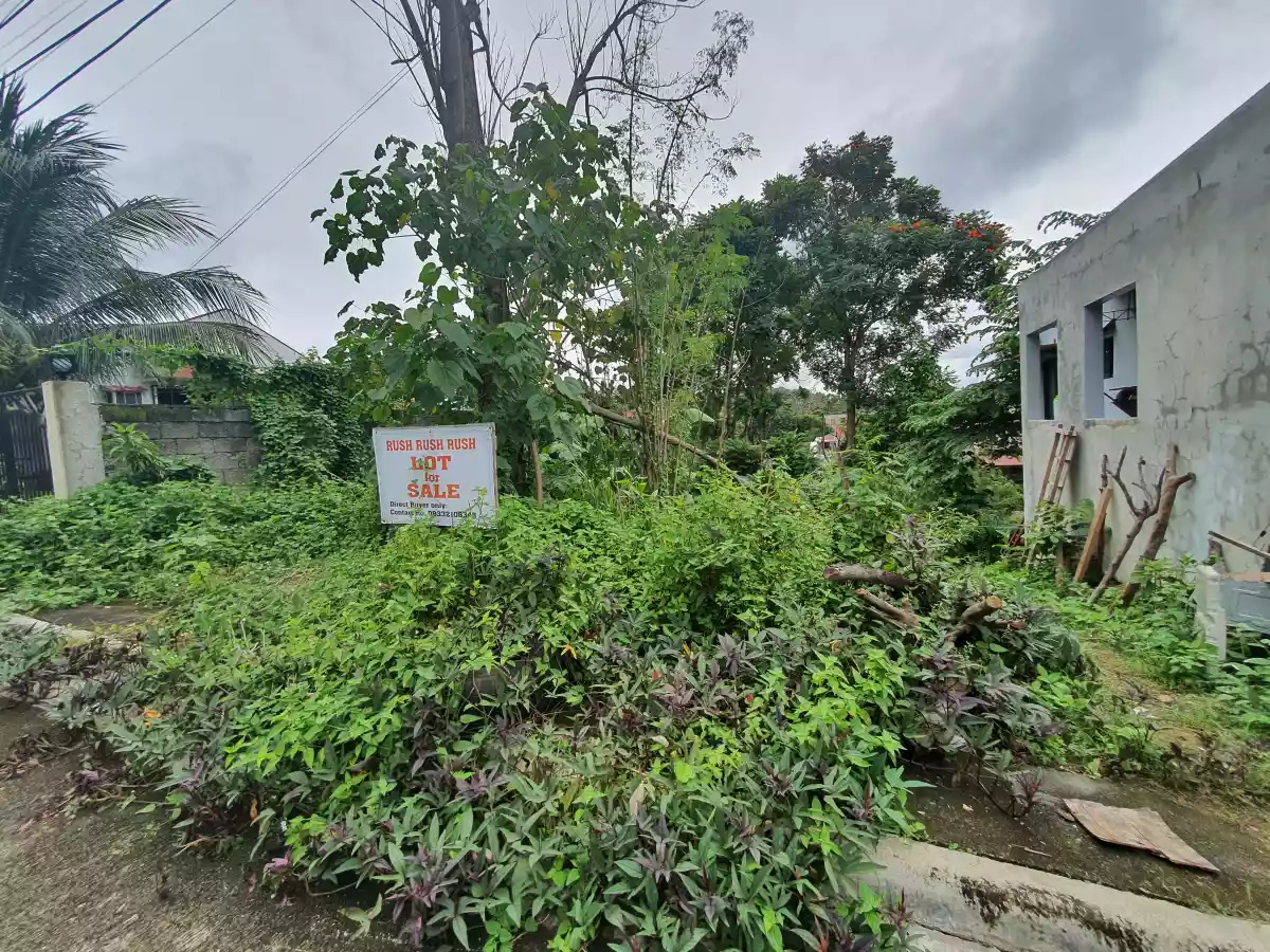 121 sqm Lot only in Montana Vista - photo 2