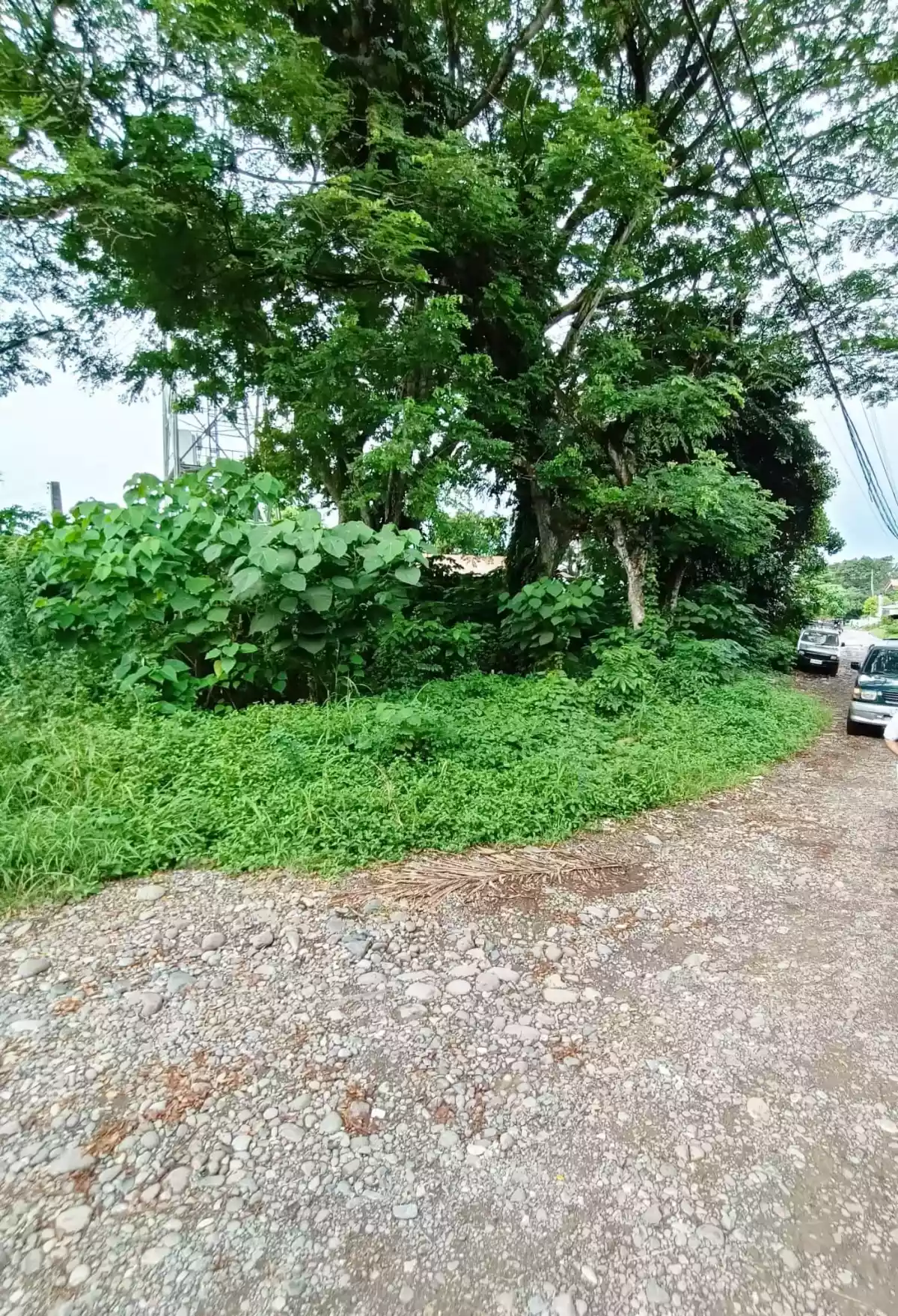 520sqm Lot For Sale in Maa — Residential Lot in Talomo, Davao City, Davao del Sur — Photo 3