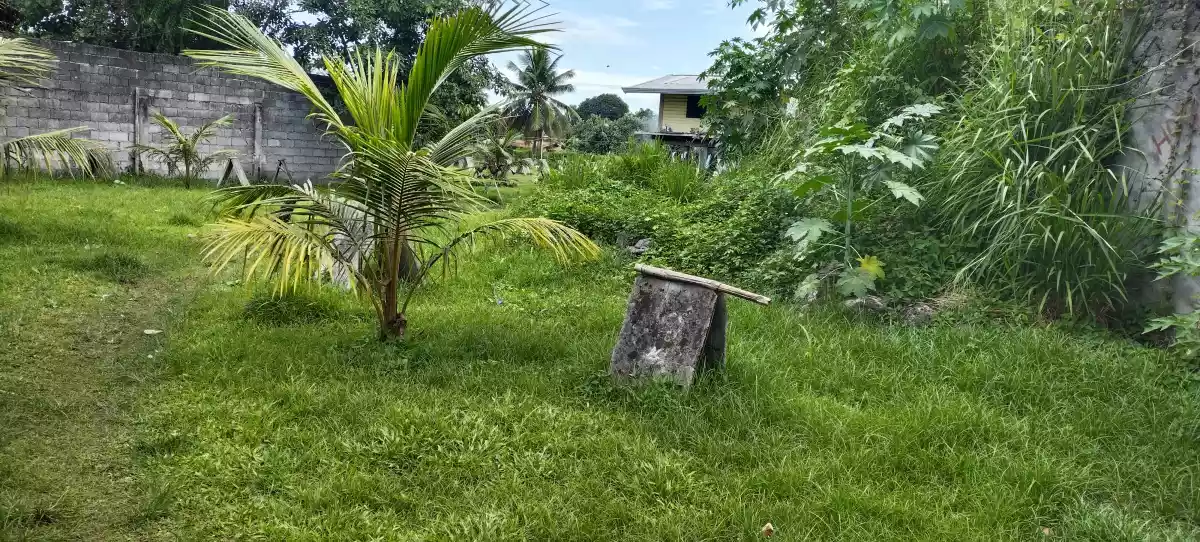 Lesson property — Industrial Lot in Polomolok, South Cotabato, Philippines — Photo 4
