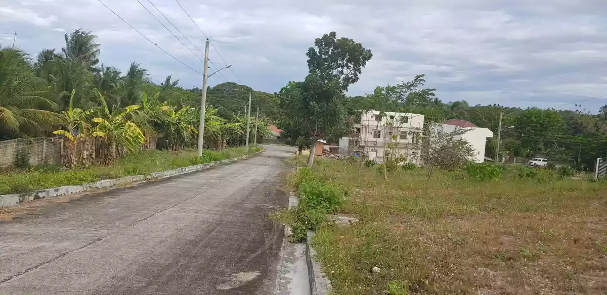 144 sqm Lot only in Glen Rose Residential Estate, Perrelos, Carcar City, Cebu - photo 6