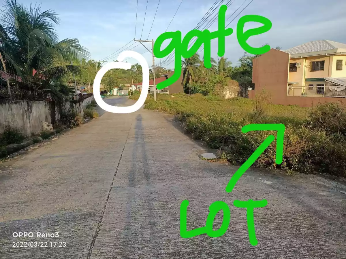For Sale Lot inside subd in Liloan - photo 3