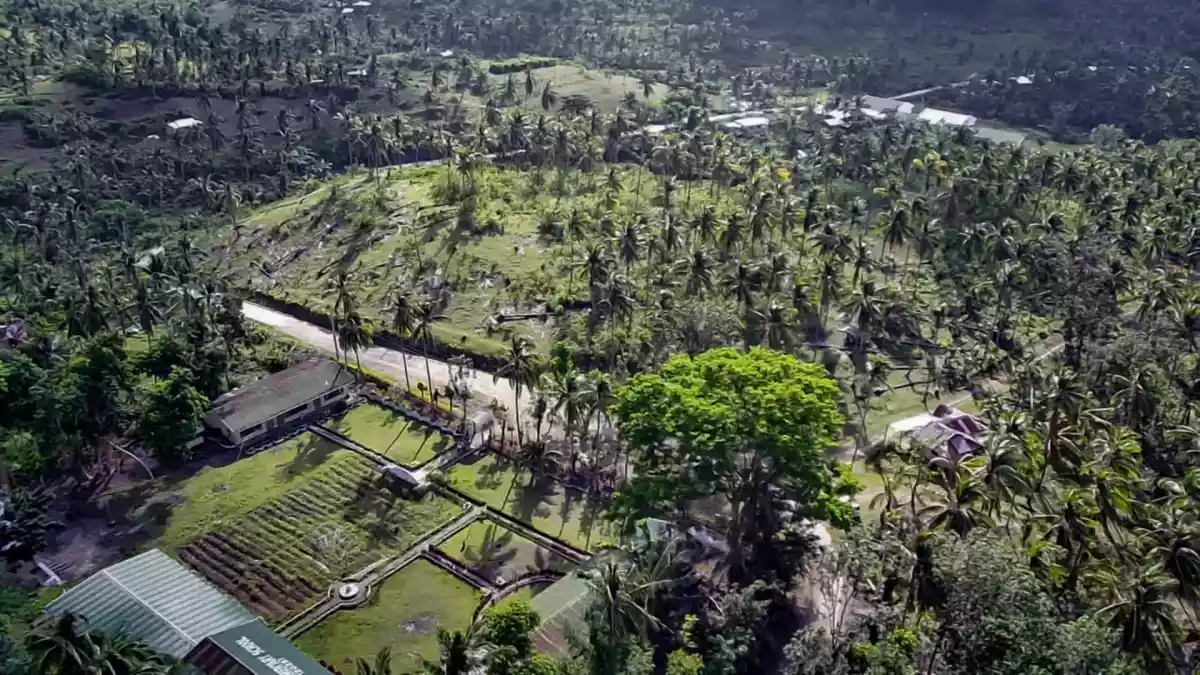 Overlooking Clean Title Lot for Sale in Bangcal,Jimalalud, Negros Oriental — Agricultural Lot in Jimalalud, Negros Oriental, Philippines — Photo 3