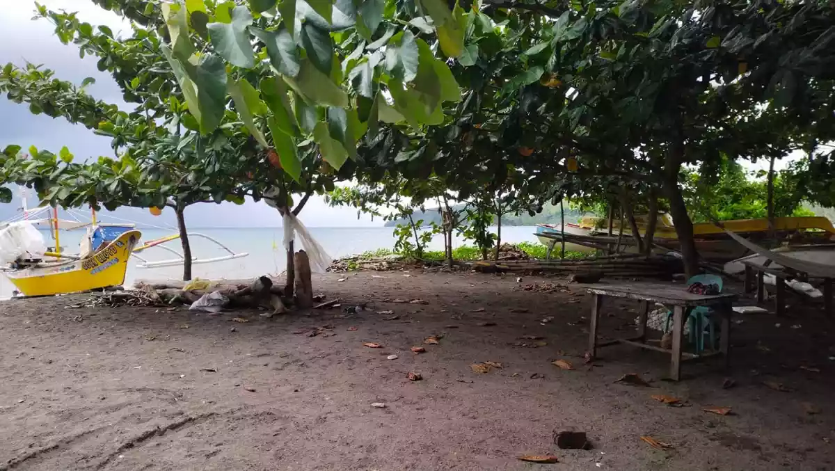 T-4851 — Agricultural Lot in Glan, Sarangani, Philippines — Photo 3