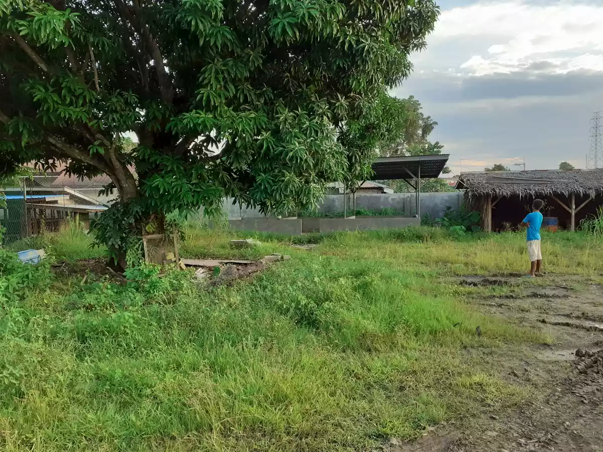 Open photo 14 of 21 — Commercial lot for sale 6000 sqm