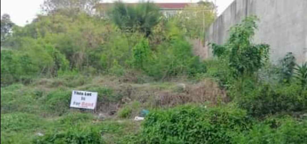 Mandaue Lot Property - photo 2